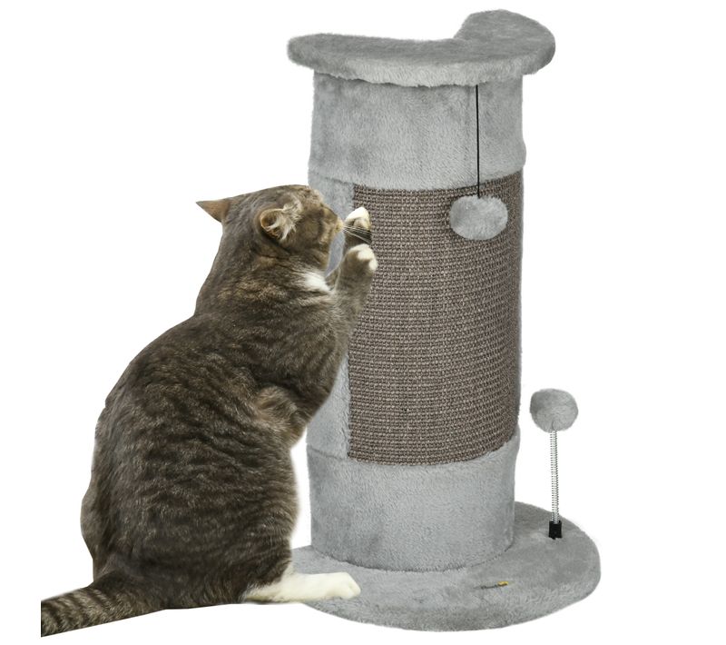 Griffoir Grattoir Poteau Angle Jeu Boule Gris