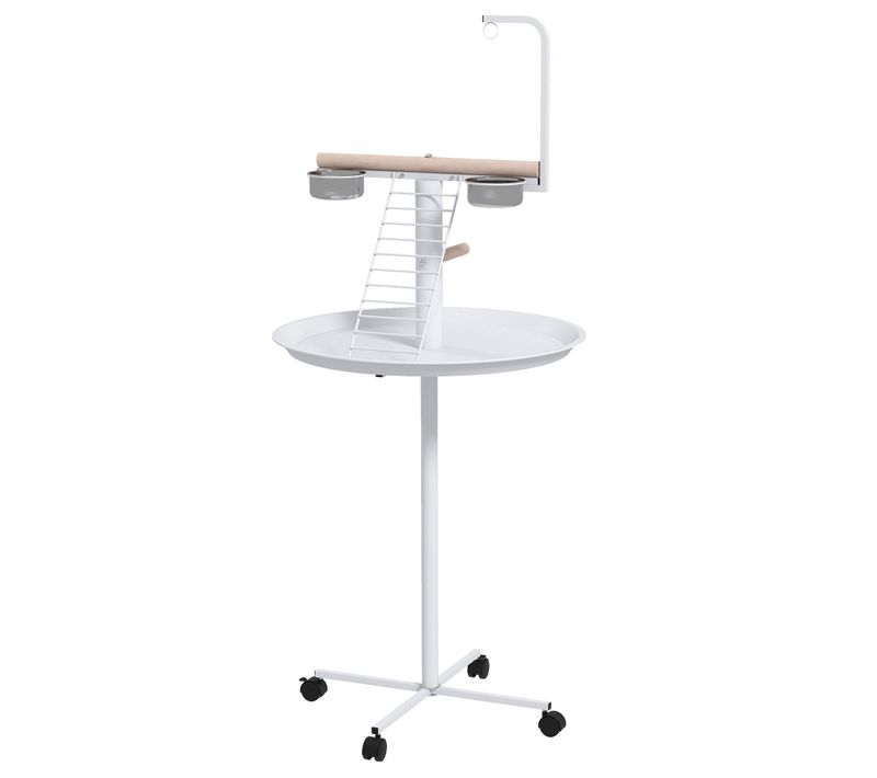 Perchoir Sur Pied Pour Perroquets Oiseaux Avec Accessoires