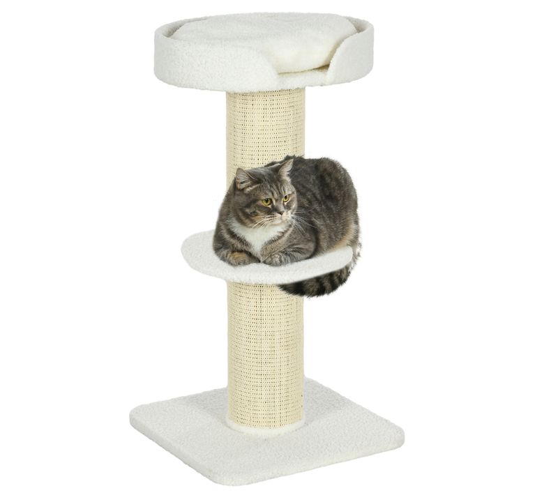 Arbre à Chat Avec Griffoir Centre D'activités 2 Plateformes Coussin