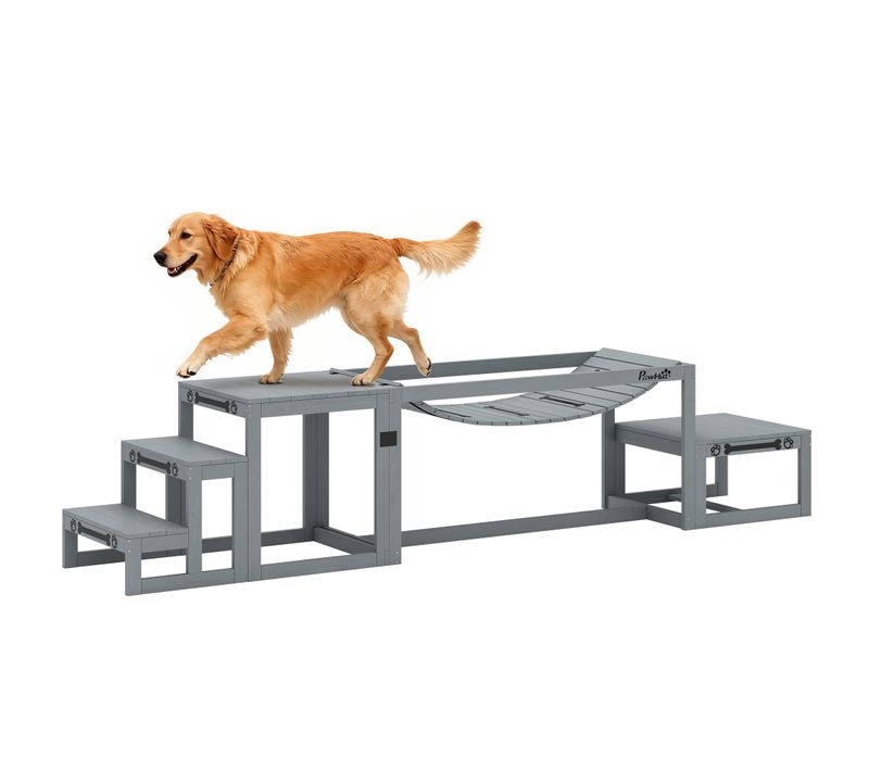Passerelle Agility Chiens Bois De Sapin