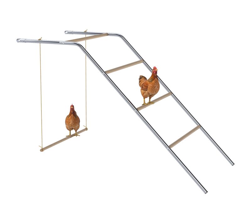 Perchoir Balançoire Échelle Pour Poule 3 En 1 Acier Chromé Bois Verni