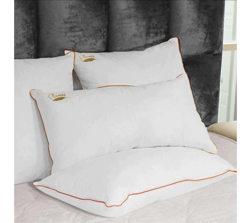 Oreiller Confort Plumes 60 X 60 Cm : Soutien Mi-ferme Et 100% Plumes De Canard