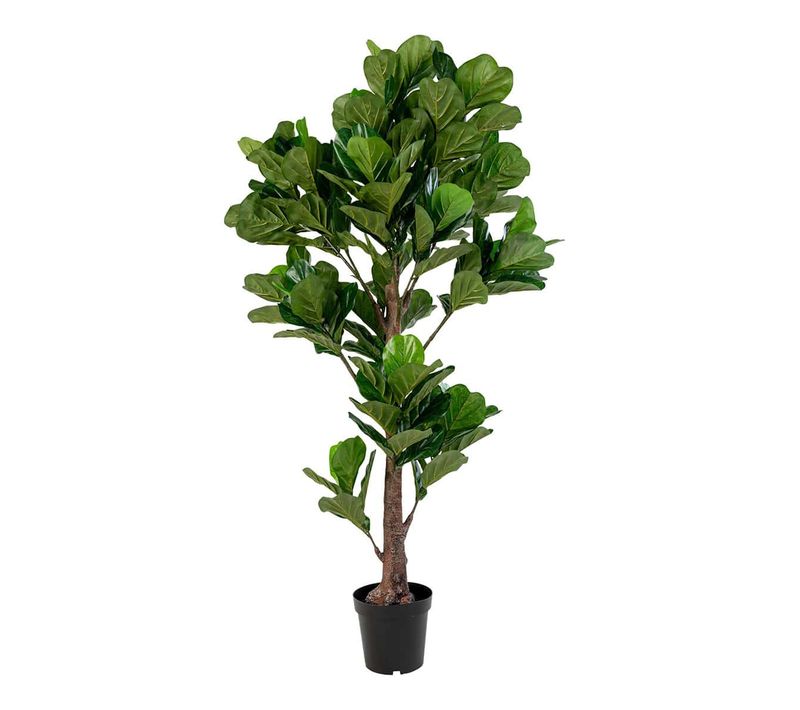 Figuier Décoratif Artificiel Hauteur 190cm - Frutty