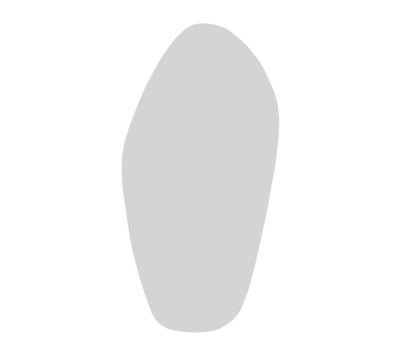 Grand Miroir Mural Organique - Forme Nature 120 Cm Cody
