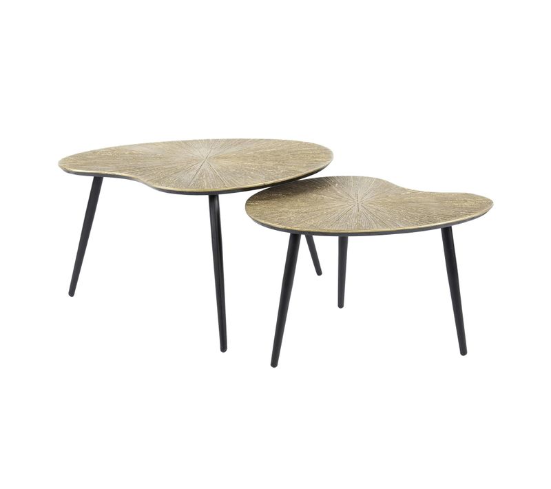 Table Basse Organique, Feuille De Ginkgo Stylisée (lot De 2) Ralf