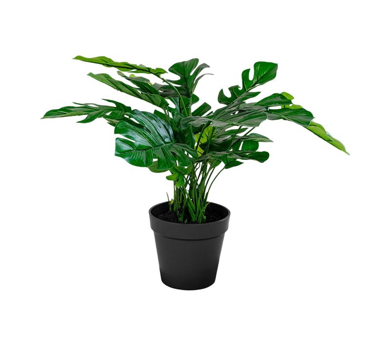 Monstera Artificiel En Pot H 45 Cm