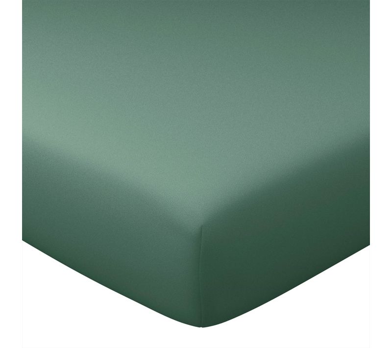 Drap-housse 90x200x28 Vert Eucalyptus En Coton