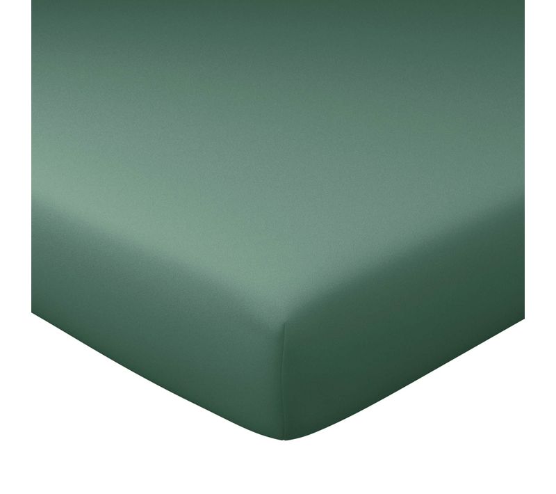 Drap-housse Grand Bonnet 160x200x40 Vert Eucalyptus En Coton