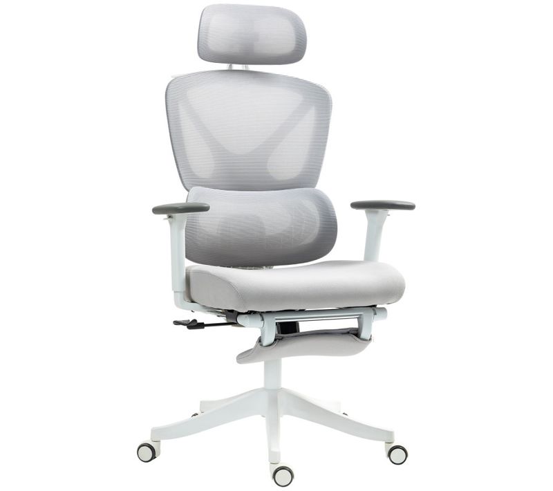 Chaise De Bureau Ergonomique Inex Gris