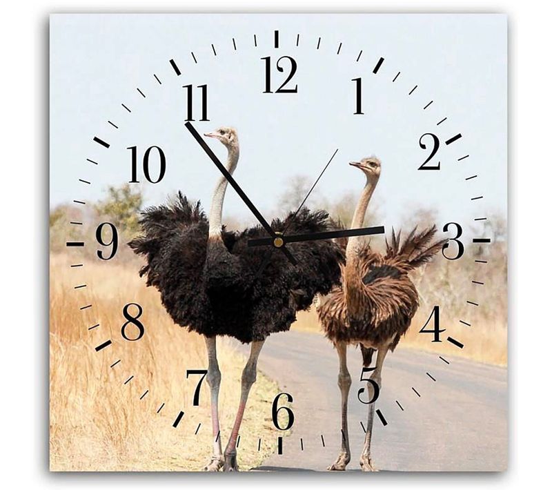 Horloge Décorative Avec Duo D'autruches Sauvages 30 X 30 Cm Beige