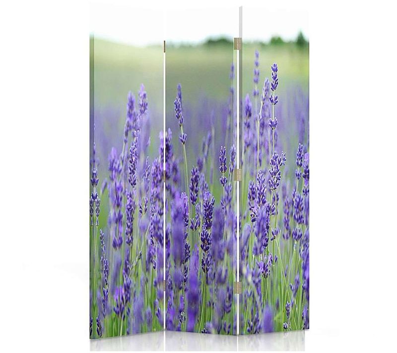 Paravent Décoratif Champ De Lavande - Intimité Et Style 110 X 150 Cm - 2 Faces R° V° Violet