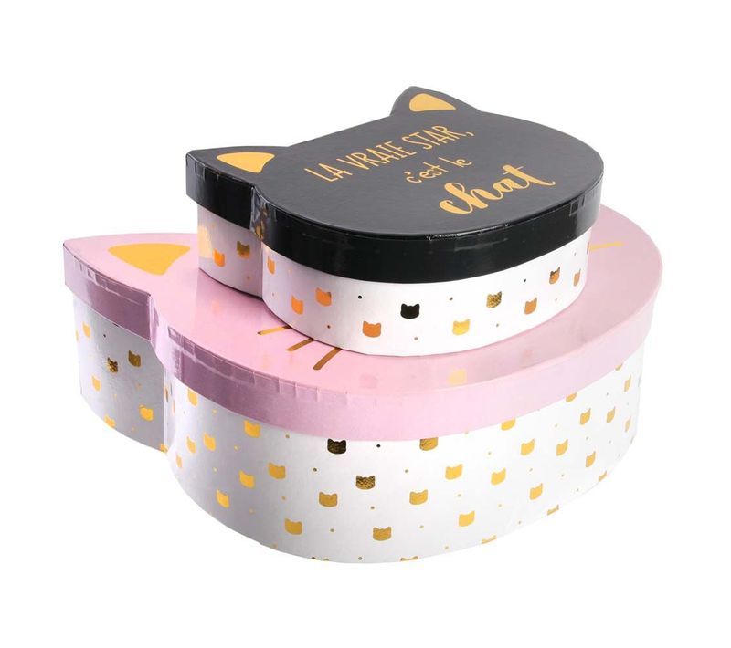 Boites De Rangement Chat (lot De 2)