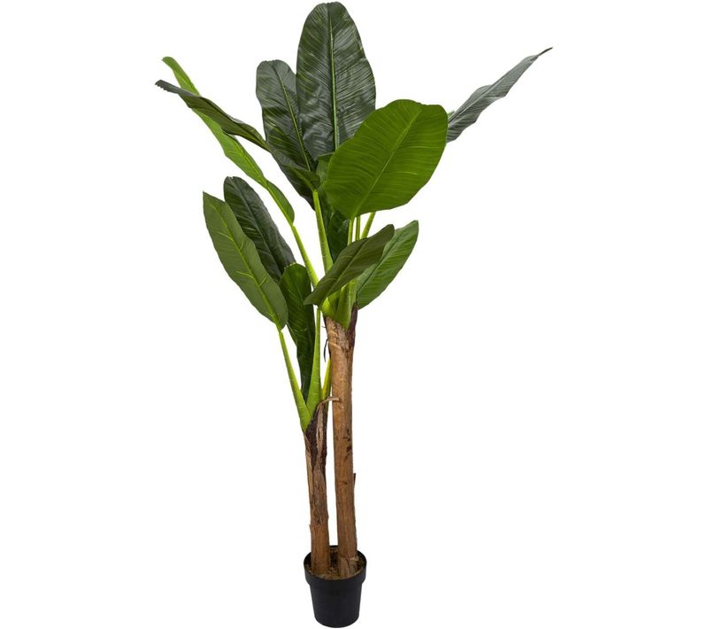 Bananier Artificiel En Pot 160 Cm