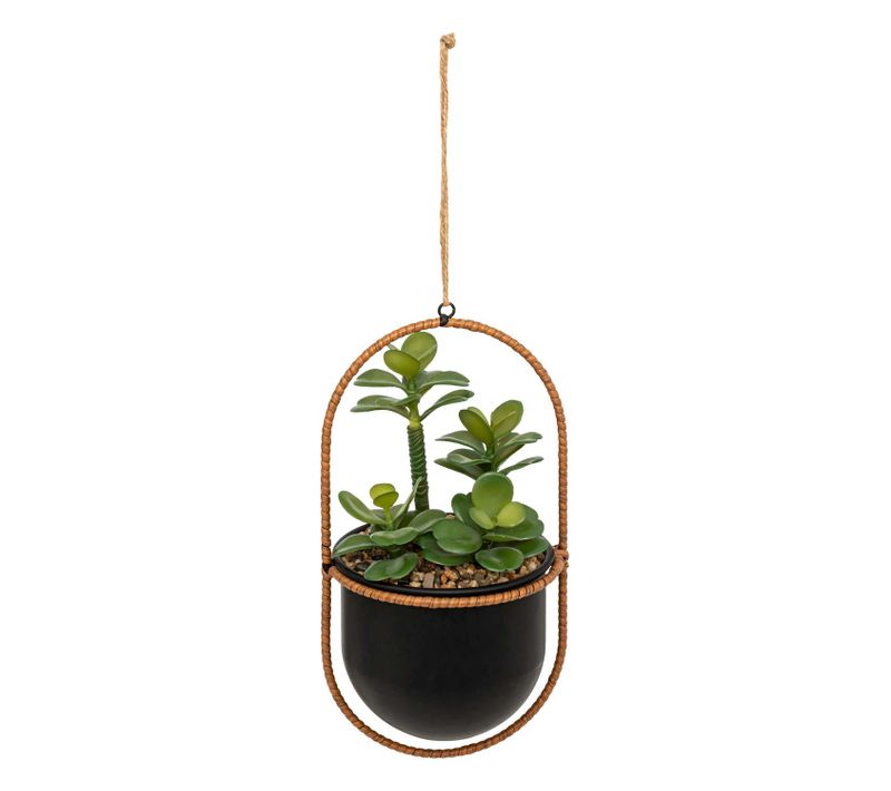 Plante Suspendue Avec Pot En Métal - H. 31 Cm