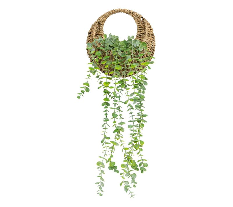 Eucalyptus à Suspendre Avec Pot Naturel - H. 70 Cm