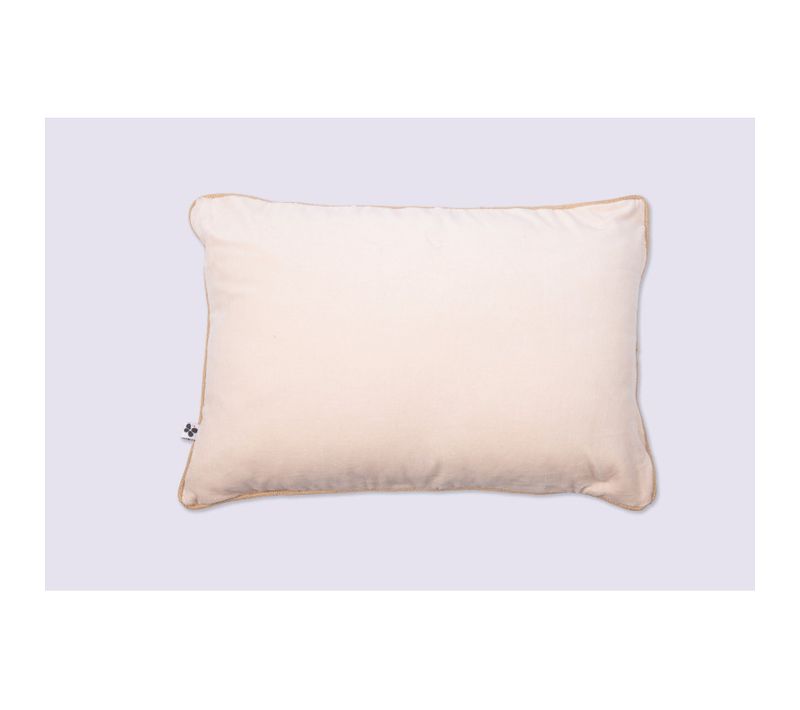Coussin Déhoussable Finition Galon 40 X 60 Cm "césar" Velours De Coton - Beige Foncé - 40x60 Cm