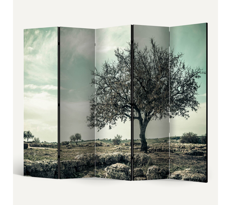Paravent 5 Volets Toile Intissée 225x172cm
