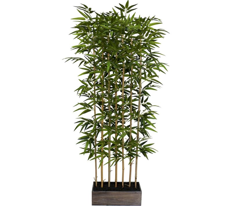 Séparateur Bambou Vert Décoratif Pour Intérieur Élégant