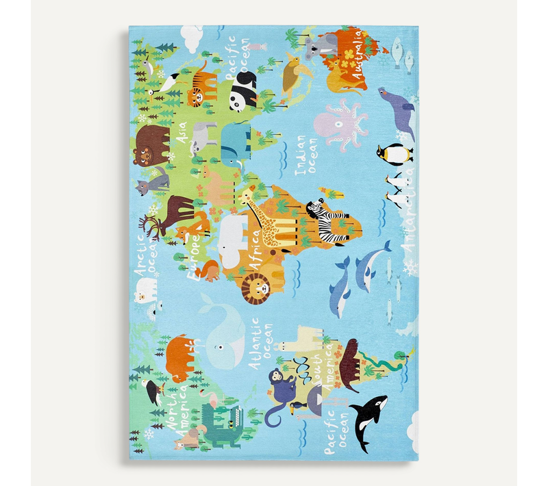 Tapis Enfant Carte Du Monde Multicolore Jacquard 230 X 160 Cm Multicolore