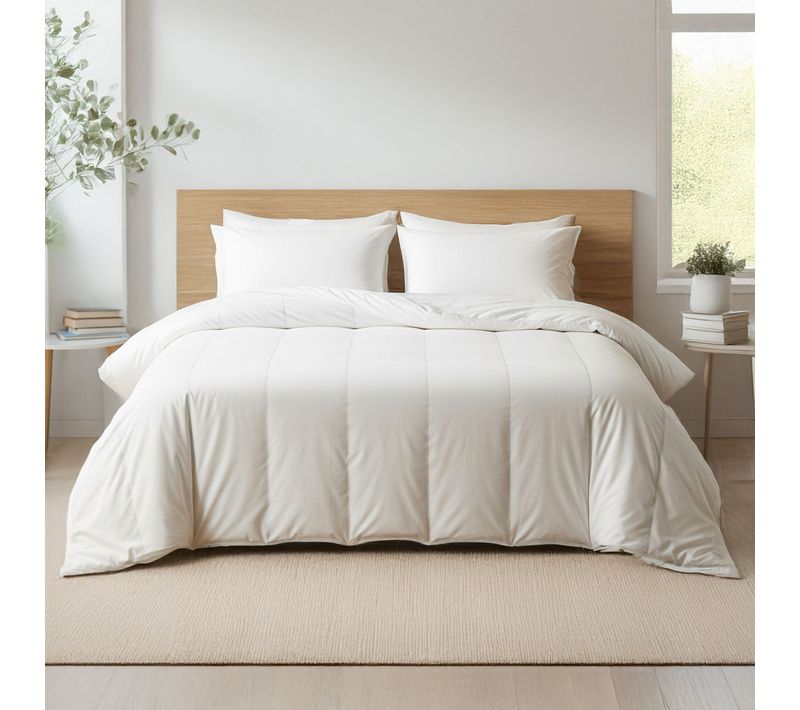 Couette Tempérée Mi-saison 300g/m² 260x240 Cm
