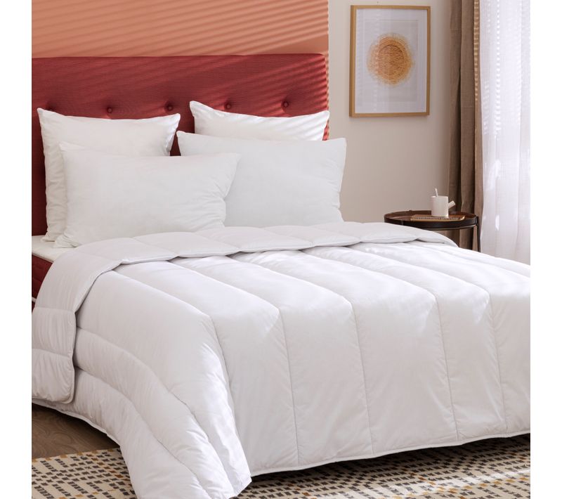 Pack Couette Légère 240x220 Et Oreiller Moelleux 60x60
