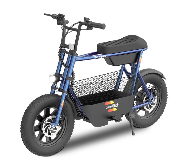 Draisienne Électrique Adulte Thunder 160 – Moteur 1100w - Autonomie Jusqu'a 30 K