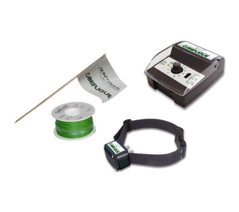Canifugue Clôture Et Collier Anti-fugue Pour Chien