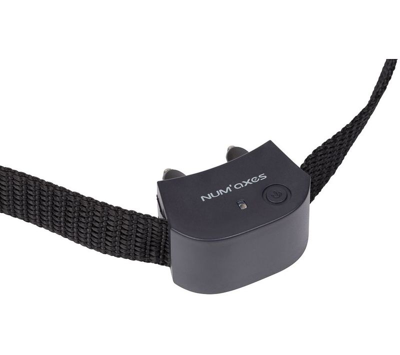 Collier Anti-fugue Petit Pour Chats Et Petits Chiens - Étanche, 8 Niveaux, Rechargeable
