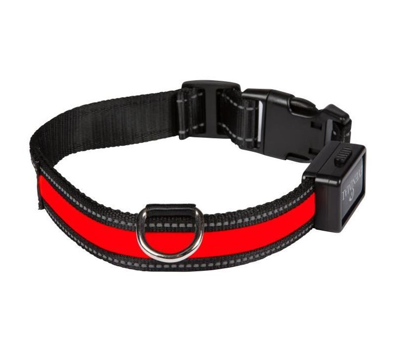 Collier Lumineux Light Collar Rechargeable M Rouge Pour Chien