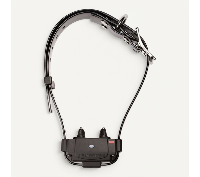 Collier Anti-fugue Sans Fil Canifugue Fug1034 — Ip67, Rechargeable, 8 Niveaux