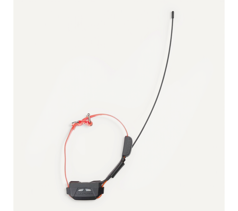 Canicom Gps Mini - Collier Gps Compact Pour Petits Chiens, Portée 15 Km, Éducation 3 Km