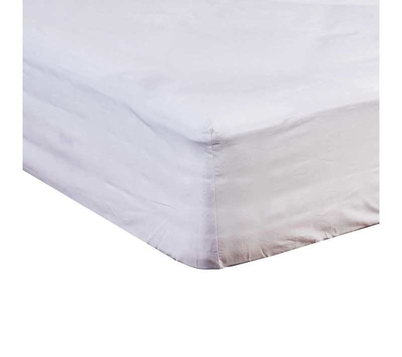 Protège Matelas Coton Molleton Bonnet 40 Blanc 160x200