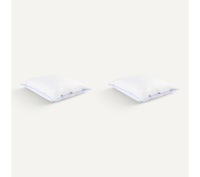 Lot De 2 Oreillers Moelleux/ferme Duvet De Canard Anti-allergènes 60x60