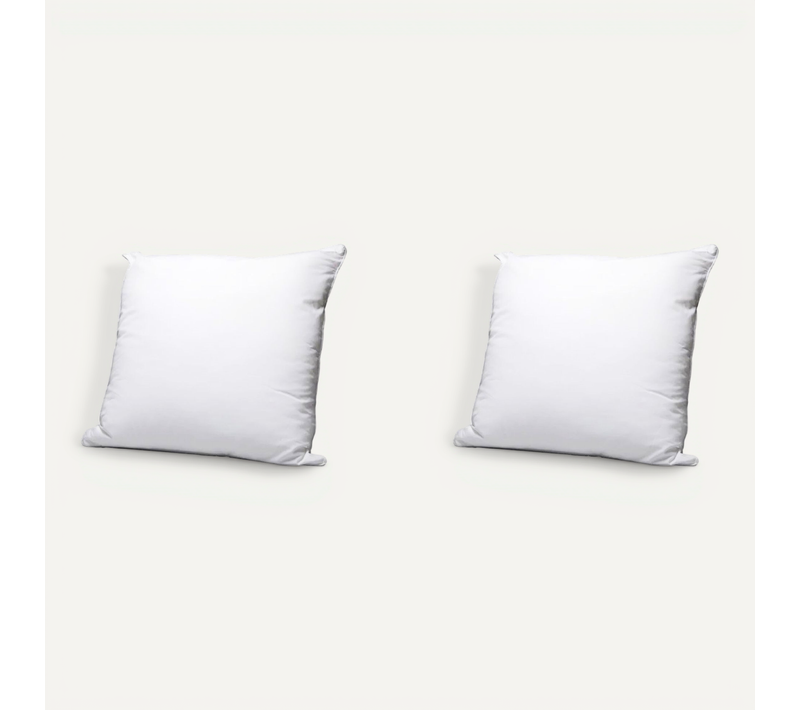 Lot De 2 Oreillers éco Naturels Moelleux Enveloppe Coton Bio 60x60