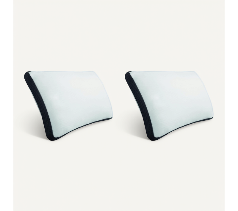 Oreiller Aeropower (lot De 2) 40x60