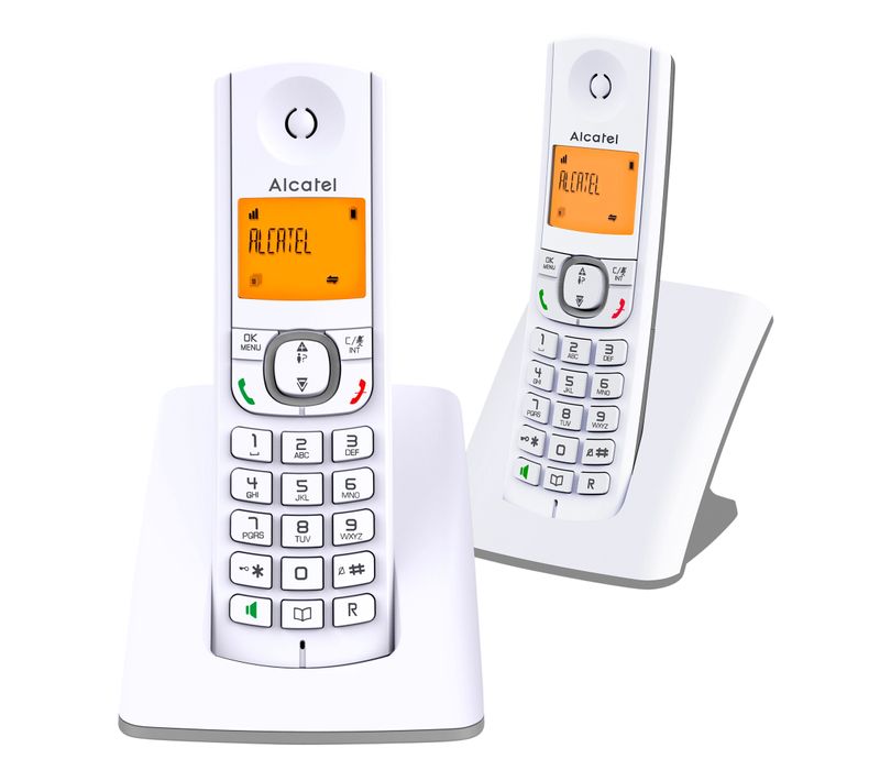 Pack téléphone sans fil ALCATEL F530 Duo Gris