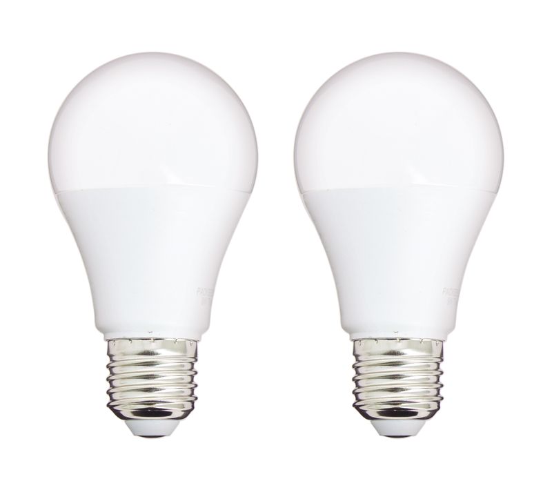 Lot de 2 ampoules LED standard TIMOTHEE E27 40W