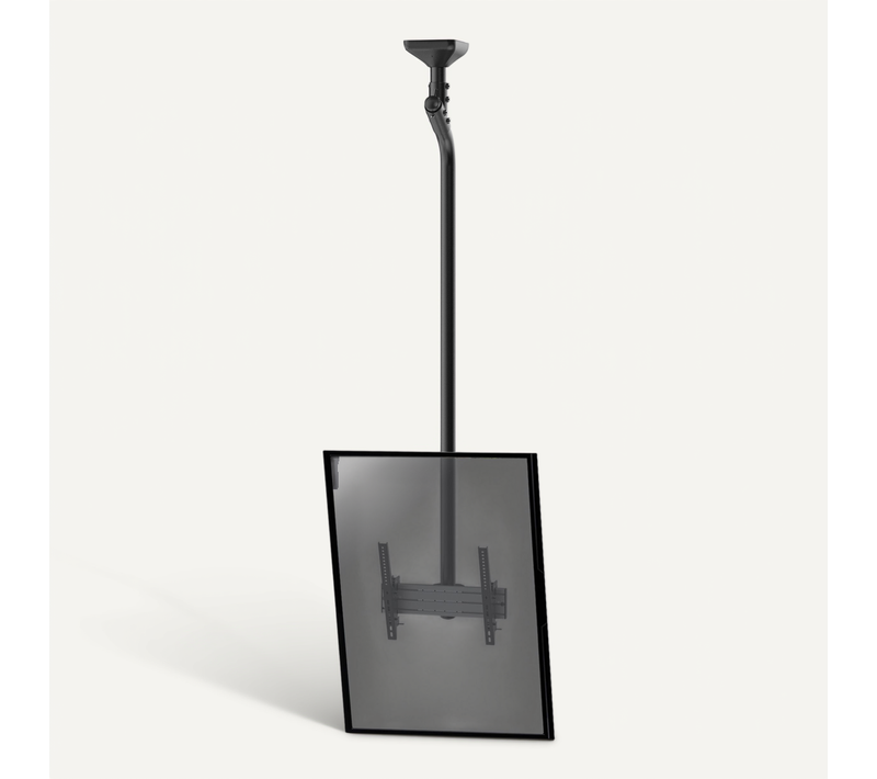 Support Plafond Inclinable Pour 1 écran Portrait 43''-75'' - Hauteur 225cm