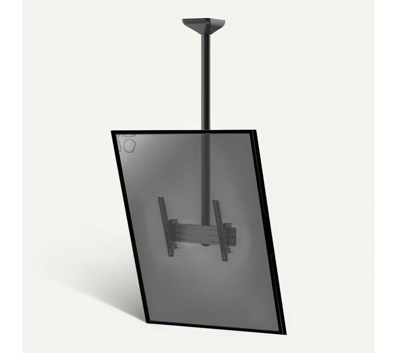 Support Plafond Inclinable Pour 1 écran Portrait 43''-75'' - Hauteur 150cm