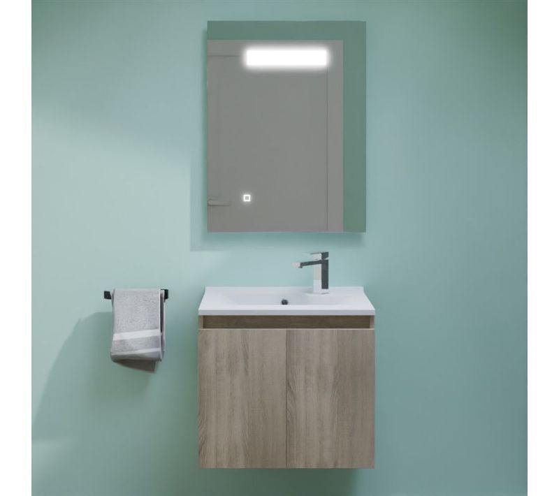 Meuble Proline 60 Cm Avec Plan Vasque Et Miroir Elégance Ht80- Bois- Résine
