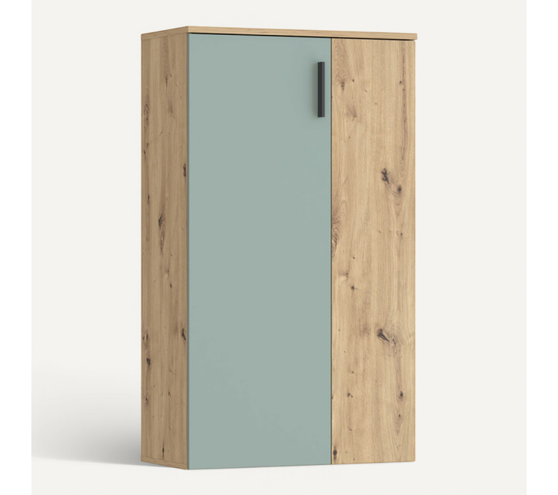 Meuble à Chaussures 2 Portes Décor Bois Chêne Et Vert Sauge – Amelie