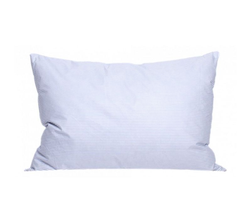 Lot De 2 Oreillers Plumes 50 X 70 Cm "dodo" - Blanc - 50x70 Cm