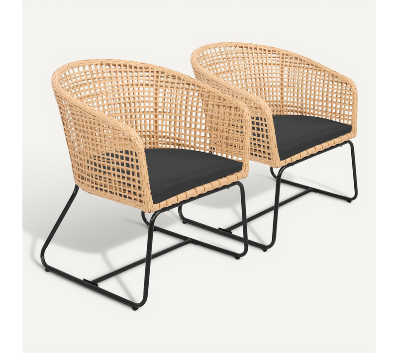 Lot De 2 Fauteuils En Rotin Synthétique Avec Coussins Rina