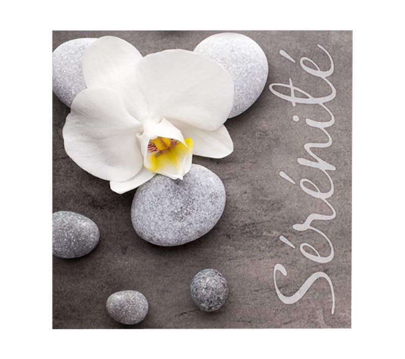 Lot De 20 Serviettes Papier Serenite