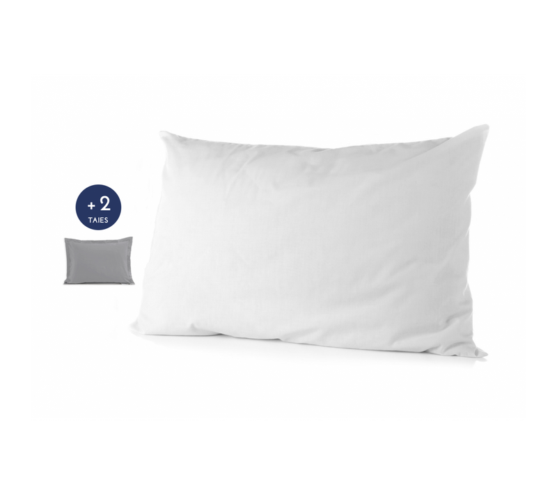 Pack Moelleux 1 Oreiller + 2 Taies Colorées Couleurs - Gris Clair, Tailles - 50 X 70 Cm