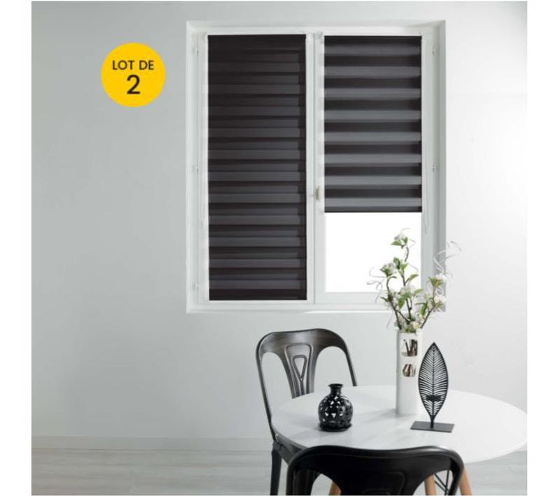 Lot De 2 Stores Enrouleur Jour Et Nuit 45 X 180 Cm Daynight Noir