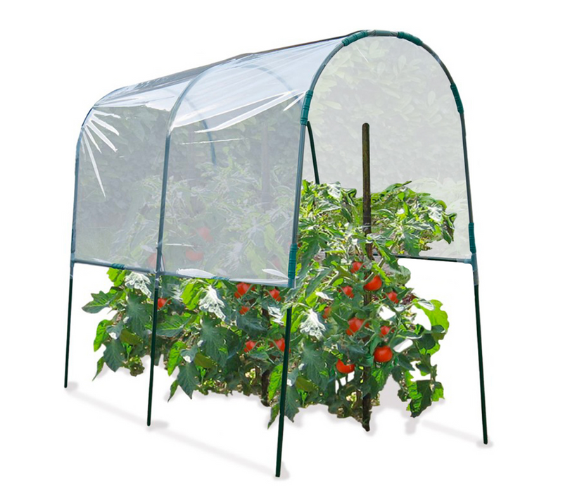 Serre à Tomates 2 M