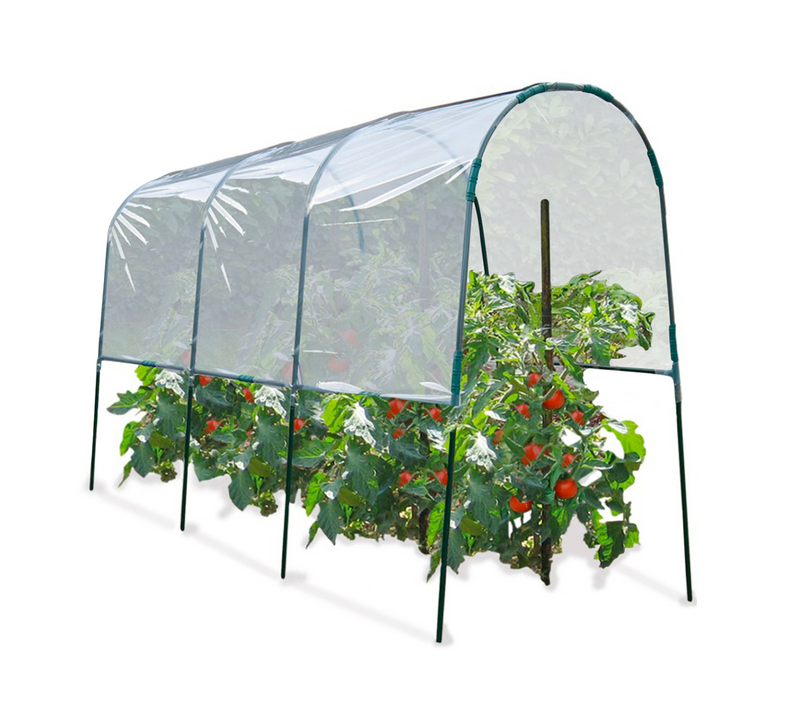 Serre à Tomates 4 M