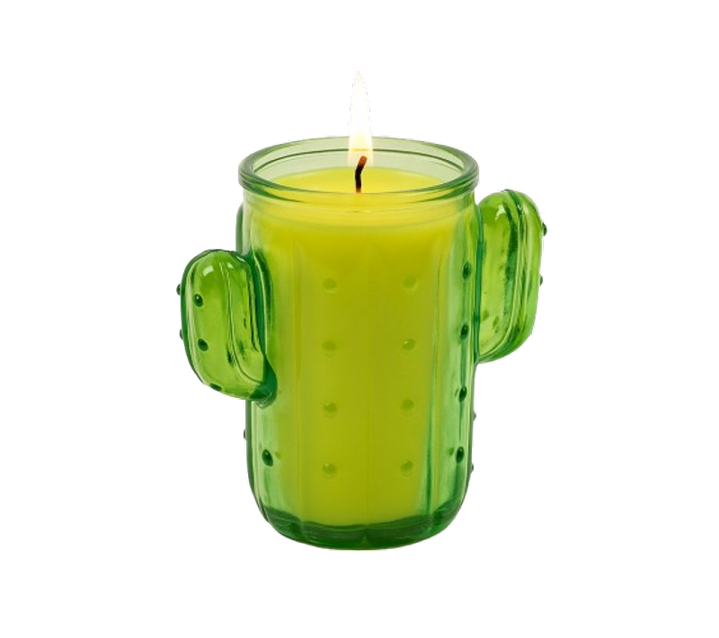 Bougie Citronnelle Cactus En Pot – Anti-moustique Extérieur Durable