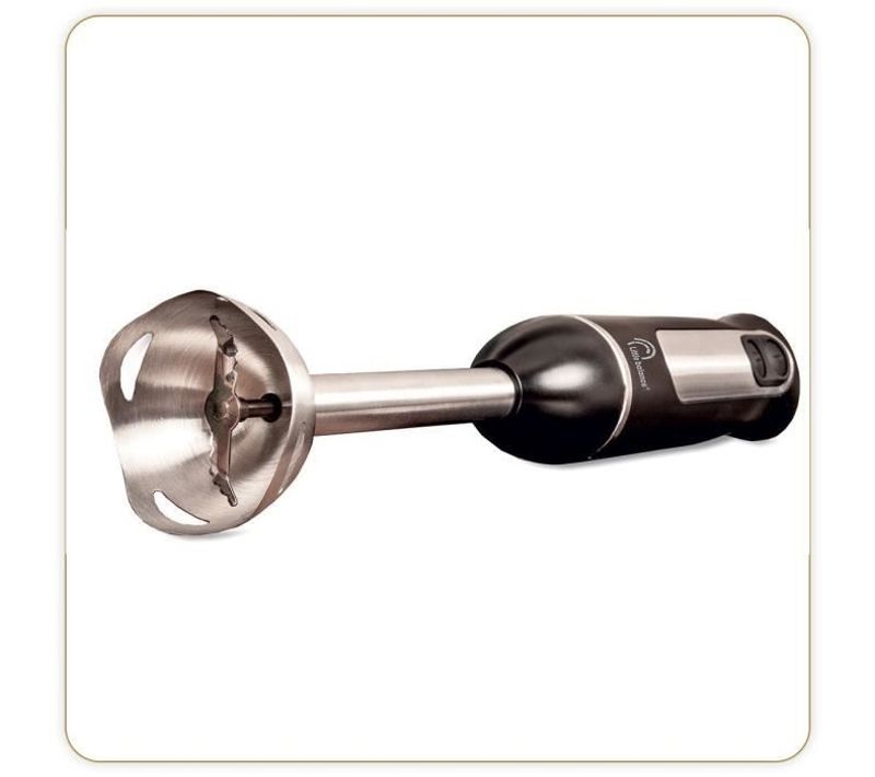 Mixeur Plongeant Speed Inox 600 Plus